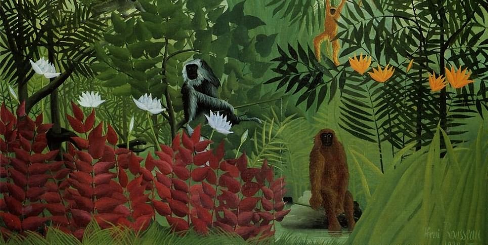 热带雨林里的猿和蛇