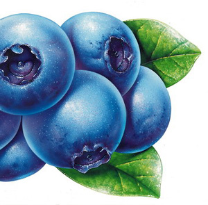 蓝莓
